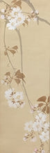 Load image into Gallery viewer, 西井敬岳|NISHII Keigaku(福井/ 1880-1937) 「水温む(枝垂桜に鯉魚)」 柱掛 物故作家掛軸 木箱 春 /普段掛け 縁起物 モダン掛軸 茶道具 /寄付き/待合掛 煎茶道 日本画 花鳥画 JY2238