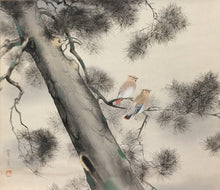 画像をギャラリービューアに読み込む, 近代人気作家 根上富治|NEAGARI Tomiji(山形/ 1895-1981) 「老松」尺八横 物故作家掛軸 共箱 東京国立近代美術館,神宮徴古館,等所蔵作家 JY2310