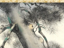 画像をギャラリービューアに読み込む, 近代人気作家 根上富治|NEAGARI Tomiji(山形/ 1895-1981) 「老松」尺八横 物故作家掛軸 共箱 東京国立近代美術館,神宮徴古館,等所蔵作家 JY2310