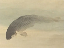 將圖片載入圖庫檢視器 大阪画壇 須磨 対水(SUMA Taisui / Osaka,1868-1955) 「遊鯉」 二尺横 物故作家掛軸 木箱 大阪中之島美術館,池田市立歴史民俗資料館,滴翠美術館,大阪市立美術館,湯木美術館,等所蔵作家 JY2284