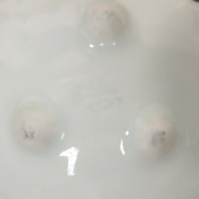 Load image into Gallery viewer, Inscribed: Kiyomizu ware (author unknown), dyed, blown ink, maple-shaped bean plate with foot, 1 customer dbsy6528-z