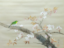 Load image into Gallery viewer, 小野踏青｜ONO Tosei(大阪-京都/ 1902-?) 「桜花目白」メクリ 尺八横 現代作家中古掛軸 JY2244
