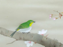 Load image into Gallery viewer, 小野踏青｜ONO Tosei(大阪-京都/ 1902-?) 「桜花目白」メクリ 尺八横 現代作家中古掛軸 JY2244
