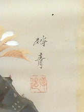 Load image into Gallery viewer, 小野踏青｜ONO Tosei(大阪-京都/ 1902-?) 「桜花目白」メクリ 尺八横 現代作家中古掛軸 JY2244
