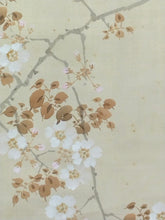 Load image into Gallery viewer, 幸野西湖｜KONO Seiko( /京都/ 1881-1945) 「春宵(桜花篝火)」 物故作家掛軸 共箱 春 /普段掛け 茶道具 /寄付き/待合掛 煎茶道 香道 日本画 花鳥画 JY2236
