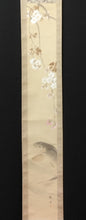 Load image into Gallery viewer, 西井敬岳｜NISHII Keigaku(福井/ 1880-1937) 「水温む(枝垂桜に鯉魚)」 柱掛 物故作家掛軸 木箱 春 /普段掛け 縁起物 モダン掛軸 茶道具 /寄付き/待合掛 煎茶道 日本画 花鳥画 JY2238
