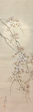 Load image into Gallery viewer, 近代人気作家桜の名手 今井景樹｜IMAI Keiju(三重-京都/ 1891-1967) 「朧月桜花」 尺五立 物故作家掛軸 共箱 JY2290

