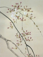 Load image into Gallery viewer, 近代人気作家桜の名手 今井景樹｜IMAI Keiju(三重-京都/ 1891-1967) 「朧月桜花」 尺五立 物故作家掛軸 共箱 JY2290
