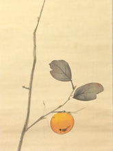 이미지를 갤러리 뷰어에 로드 , 大橋基甫｜Ohashi Kiho(兵庫/ 大正-昭和期)「實る秋図」 半切立 物故作家掛軸 共箱 JY2300

