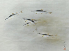 画像をギャラリービューアに読み込む, 田中以知庵｜TANAKA Ichian(東京/ 1893-1958) 「清流鮎之図」 尺八横 物故作家掛軸 田中案山子極箱 JY2303
