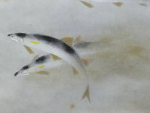 画像をギャラリービューアに読み込む, 田中以知庵｜TANAKA Ichian(東京/ 1893-1958) 「清流鮎之図」 尺八横 物故作家掛軸 田中案山子極箱 JY2303
