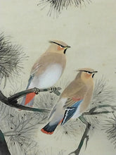 画像をギャラリービューアに読み込む, 近代人気作家 根上富治｜NEAGARI Tomiji(山形/ 1895-1981) 「老松」尺八横 物故作家掛軸 共箱 東京国立近代美術館,神宮徴古館,等所蔵作家 JY2310
