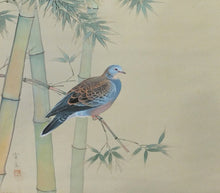 將圖片載入圖庫檢視器 近代人気作家 根上富治｜NEAGARI Tomiji(山形/ 1895-1981) 「山鳩」井澤清光堂表装 尺八横 物故作家掛軸 共箱 東京国立近代美術館,神宮徴古館,等所蔵作家 JY2311
