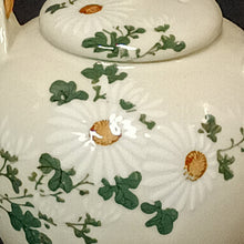 將圖片載入圖庫檢視器 清水焼Kiyomizu ware( 京都 萬珠堂販売, 大正~昭和前期1920年代頃)釉下彩 菊之絵 急須 木箱添  dbsy16391-y
