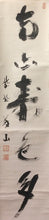 将图片加载到图库查看器，昭和の名僧 大徳寺510世 上田義山｜UEDA Gizan(1891-1972) 一行書「南山寿色多」 尺巾 物故作家掛軸 共箱 JY2314
