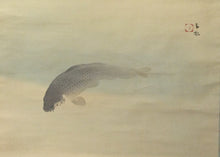 將圖片載入圖庫檢視器 大阪画壇 須磨 対水(SUMA Taisui / Osaka,1868-1955) 「遊鯉」 二尺横 物故作家掛軸 木箱 大阪中之島美術館,池田市立歴史民俗資料館,滴翠美術館,大阪市立美術館,湯木美術館,等所蔵作家 JY2284
