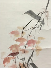 画像をギャラリービューアに読み込む, 大阪画壇 須磨 対水(SUMA Taisui / Osaka,1868-1955) 「栗」尺巾 物故作家掛軸 木箱 JY2285
