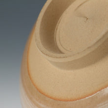 将图片加载到图库查看器，岡田菁山｜OKADA Seizan( 京都 ) 赤雲窯 色絵 石蕗絵 茶碗 dbsy15860-b
