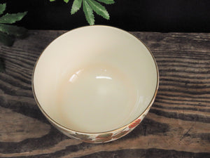 My first tea utensils: Kyoto Kawazoe Juraku Colored Equine Tea Bowl s22-q