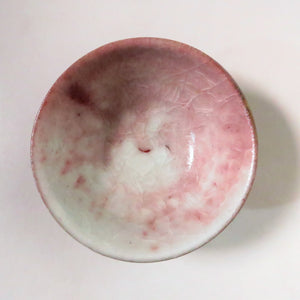 YASUDA Zenko (Shiga Prefecture 1926-?) Nishikisai tea bowl dbsy10448